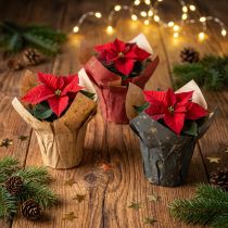 Article Mini-pots en papier étoilé rouge, anthracite et naturel – lot de 9