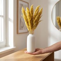 Article Tiges de Riedgras Séché Jaune 70 cm - Lot de 10