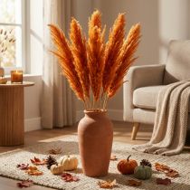 Article Fleurs séchées Riedgras orange 70 cm - Lot de 10 tiges