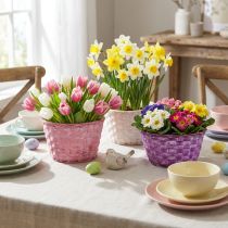 Article Set de 8 coupes rondes en bois tressé Ø19cm – Rose, Blanc et Violet avec film plastique