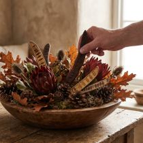 Article Gousses naturelles de flamboyant 25 à 50 cm - Lot de 25