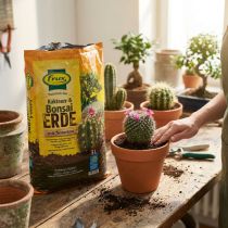 Article Terreau spécialisé 5L pour cactus, succulentes et bonsaïs – Marque Frux