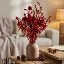 Article Bouquet de Fleurs Séchées Rouge Vin avec Chardons 40cm 80g