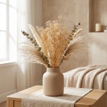 Article Fleurs Séchées Gypsophile Blanche Conservée 50 cm 55 g