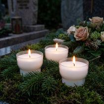 Article Lot de 25 bougies votives blanches avec support transparent Ø4,3 cm