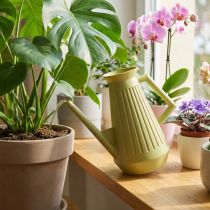 Article Arrosoir d’intérieur rétro en plastique vert olive 1,8L