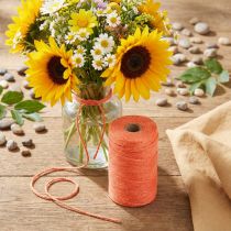 Article Bobine de ficelle en jute orange Ø2mm – 200m