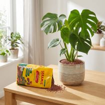 Article Granulés Seramis 2,5L pour plantes d'intérieur