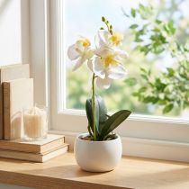 Article Mini-orchidée artificielle blanche en pot en céramique Ø7cm H22cm