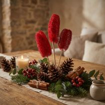 Article Luffa séchée sur tige rouge - Lot de 25 pièces