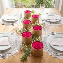 Article Roses naturelles stabilisées roses pour décoration intérieure – Set de 6, 5 cm
