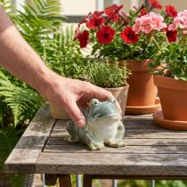 Article Figurine Grenouille en Céramique 12 cm – Décoration Estivale Intérieure et Balcon