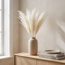 Article Silbergras séché blanc – Décoration naturelle 70 cm (Lot de 10)