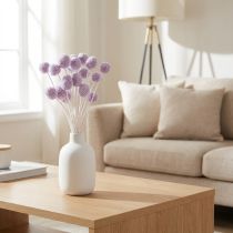 Article Craspedia fleurs séchées lilas clair 55 cm – Lot de 20 tiges