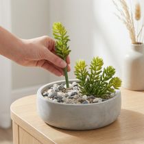 Article Sukkulente artificielle 15 cm – Lot de 6