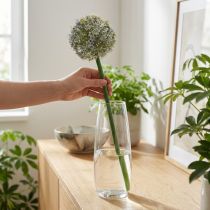 Article Branche artificielle d'allium blanc 90 cm – Finition réaliste