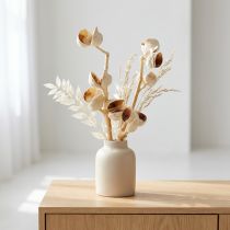 Article Hakea naturelle blanchie 5-9 fruits par branche – Lot de 25