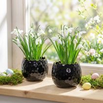 Article Lot de 2 pots en céramique noire effet coquille d'œuf, Ø10 cm, H8 cm
