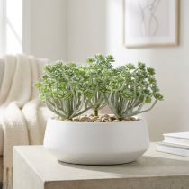Article Sujet Echeveria Succulente Artificielle Grise 17 cm Lot de 3