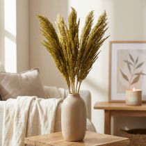 Article Tiges de Ried Séchées Vert Olive 70 cm - Lot de 10