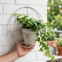 Article Blumentopf mural en métal style Shabby Chic avec cadre rond blanc Ø37 cm