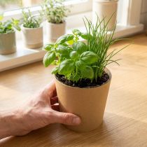 Article Pots à Plantes en Papier Kraft avec Revêtement Intérieur Transparent Ø11 cm H10 cm - Lot de 6