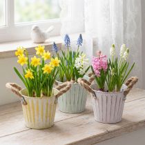 Article Pots en métal avec poignées en corde, Ø12cm H10cm, set de 3 couleurs pastel