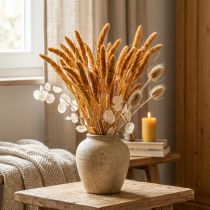 Article Setaria Pumila Séchée Orange 72 cm 200 g - Graminées Décoratives
