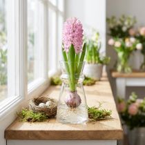 Article Vase en verre transparent Ø7 cm H13 cm pour décor floral
