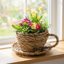 Article Corbeille en forme de tasse en rotin avec soucoupe 15 cm pour décoration intérieure