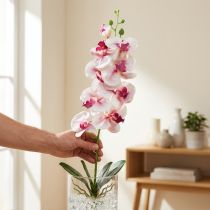 Article Orchidée artificielle Phalaenopsis 9 fleurs blanc fuchsia 96 cm