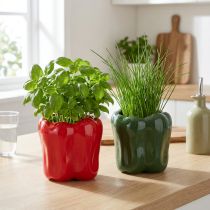 Article Lot de 2 cache-pots en céramique en forme de poivron rouge et vert - 13 cm