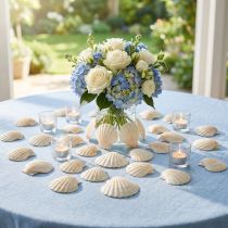 Article Coquilles Saint-Jacques Décoratives Naturelles 3,5–4 cm 300g