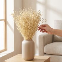 Article Tiges de lin séchées blanches naturelles 50-55 cm 180 g