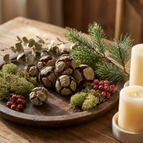 Article Cônes de cyprès naturels 3 cm 500 g