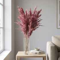 Article Herbe séchée Riedgrass Altrose 75 cm 10 pièces