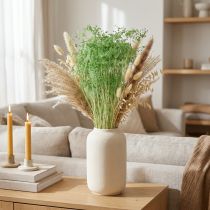 Article Fleurs séchées Ombellifères Vertes 70-80 cm 150 g