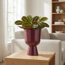 Article Pot décoratif moderne en métal rouge coupe 23 cm