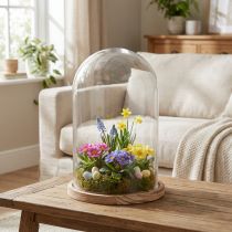 Article Cloche en verre avec socle en bois naturel Ø17cm H25cm