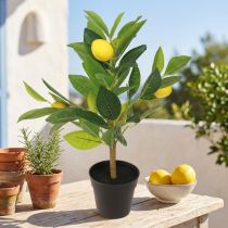 Article Zitronenbaum artificiel en pot H40 cm - Décoration méditerranéenne