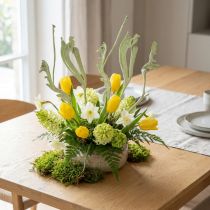 Article Mélange de bois exotique vert pomme et blanc, 10 pièces