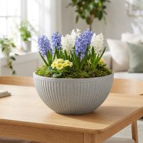 Article Coupe en plastique gris moucheté Ø35cm H16,5cm