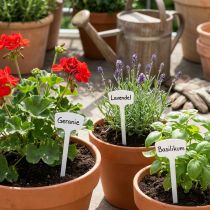Article Piquets de marquage pour plantes en plastique blanc 40 cm - Lot de 10