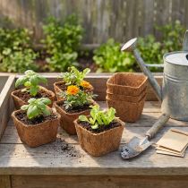 Article Set de 12 Pots Carrés en Fibre de Coco 11 cm pour Semis et Plantation