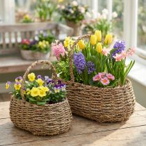 Article Paniers à Plantes avec Anse en Bois et Film Plastique, Lot de 2