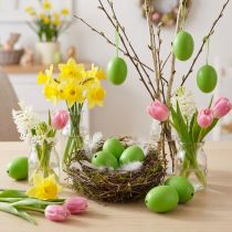 Article Œufs décoratifs en coquille naturelle verte 5,5 cm à 7 cm - Lot de 10