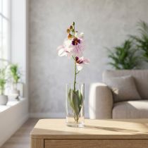 Article Orchidée Artificielle Phalaenopsis Blanche et Violette 43 cm