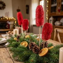 Article Luffa rouge séchée sur tige - Lot de 25 pièces, 40-50 cm