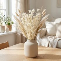 Article Nigella Orientalis Fleurs séchées Cumin noir blanc 50 cm 100 g