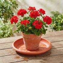 Article Soucoupe ronde en plastique terracotta Ø33cm